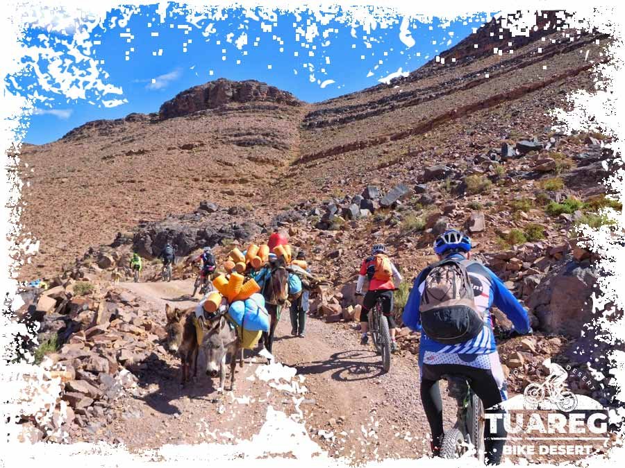 imagen-datos-tecnicos imagen-datos-tecnicos