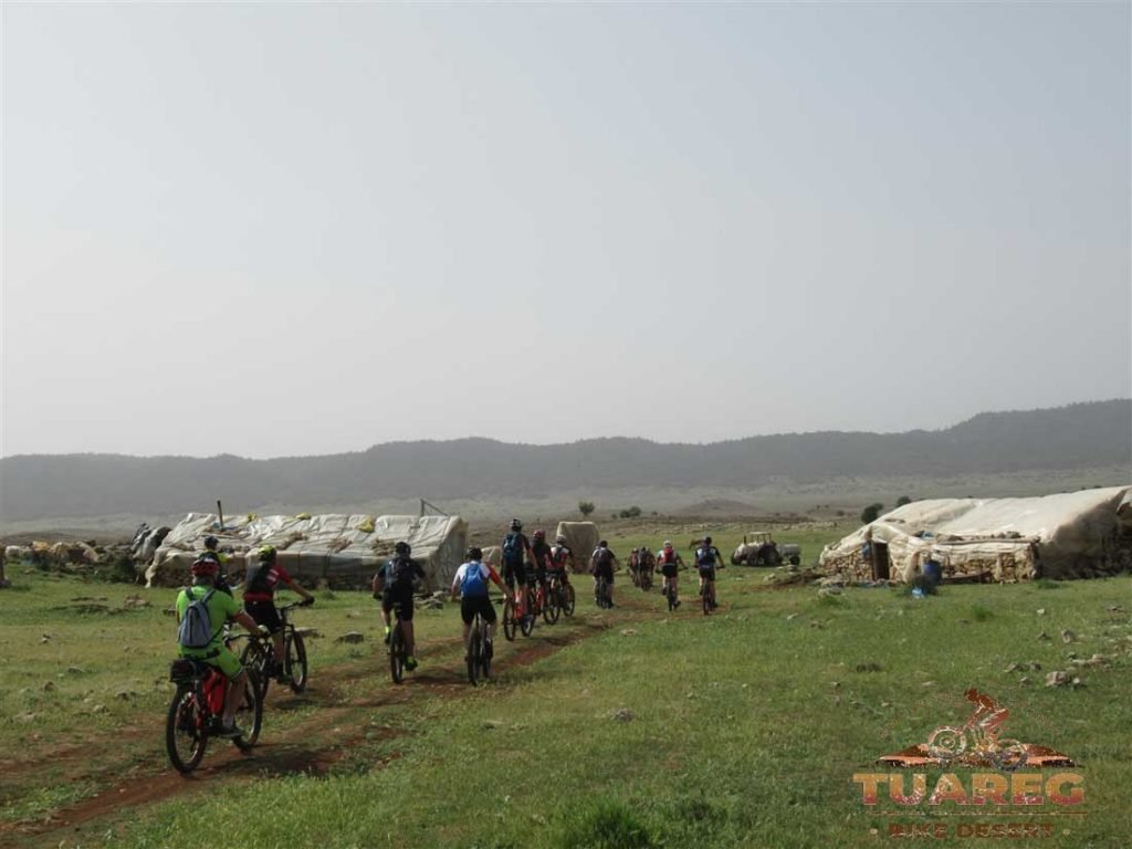 014---Día-22---Bosque-de-los-Cedros 014---Día-22---Bosque-de-los-Cedros