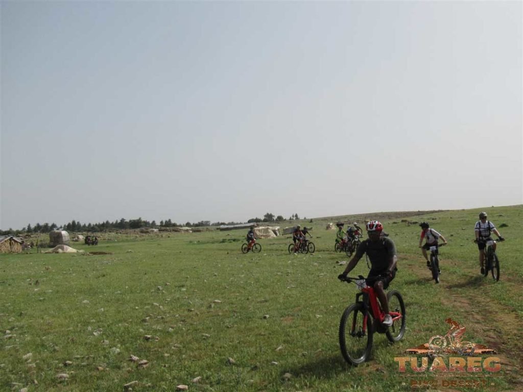 015---Día-22---Bosque-de-los-Cedros 015---Día-22---Bosque-de-los-Cedros