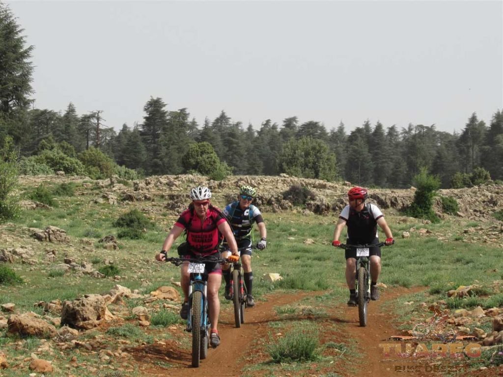 019---Día-22---Bosque-de-los-Cedros 019---Día-22---Bosque-de-los-Cedros