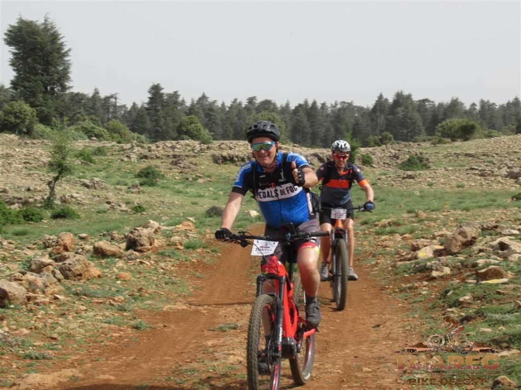 021---Día-22---Bosque-de-los-Cedros 021---Día-22---Bosque-de-los-Cedros