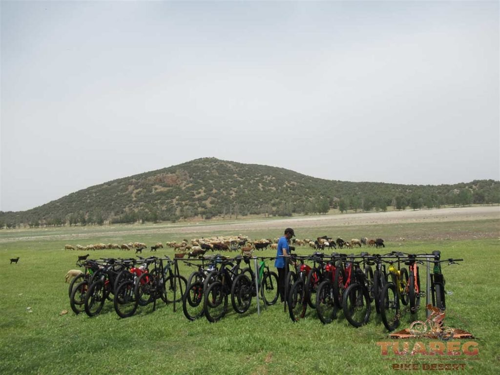 029---Día-21---Dayet-Aaoua,-Ifrane 029---Día-21---Dayet-Aaoua,-Ifrane