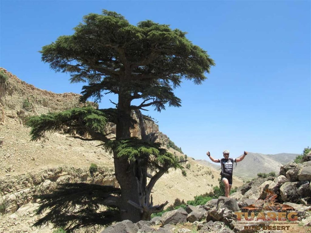 032---Día-24---Bakrit 032---Día-24---Bakrit