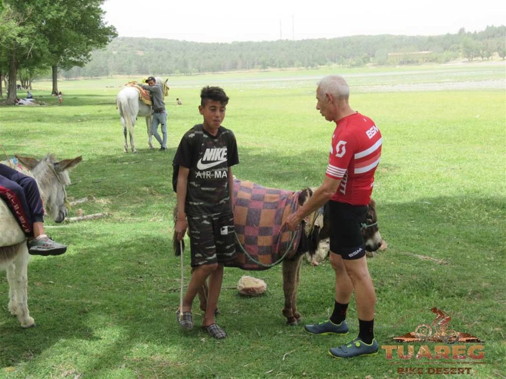 033---Día-21---Dayet-Aaoua,-Ifrane 033---Día-21---Dayet-Aaoua,-Ifrane