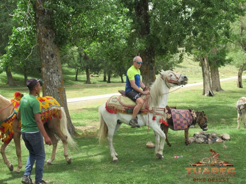 034---Día-21---Dayet-Aaoua,-Ifrane 034---Día-21---Dayet-Aaoua,-Ifrane