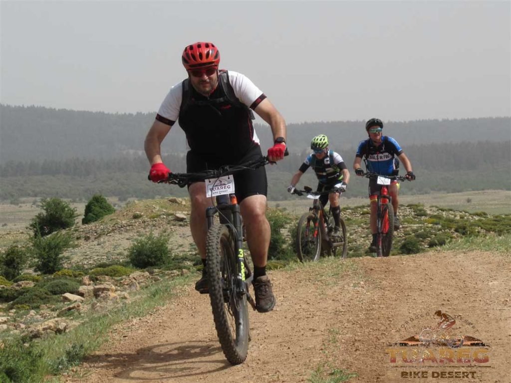 050---Día-22---Bosque-de-los-Cedros 050---Día-22---Bosque-de-los-Cedros