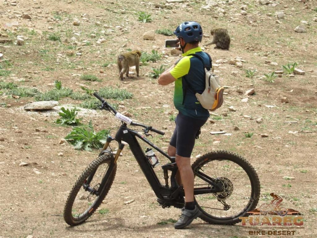 068---Día-22---Bosque-de-los-Cedros 068---Día-22---Bosque-de-los-Cedros