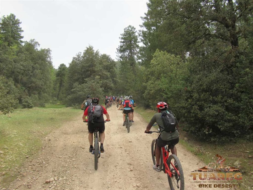 078---Día-21---Dayet-Aaoua,-Ifrane 078---Día-21---Dayet-Aaoua,-Ifrane