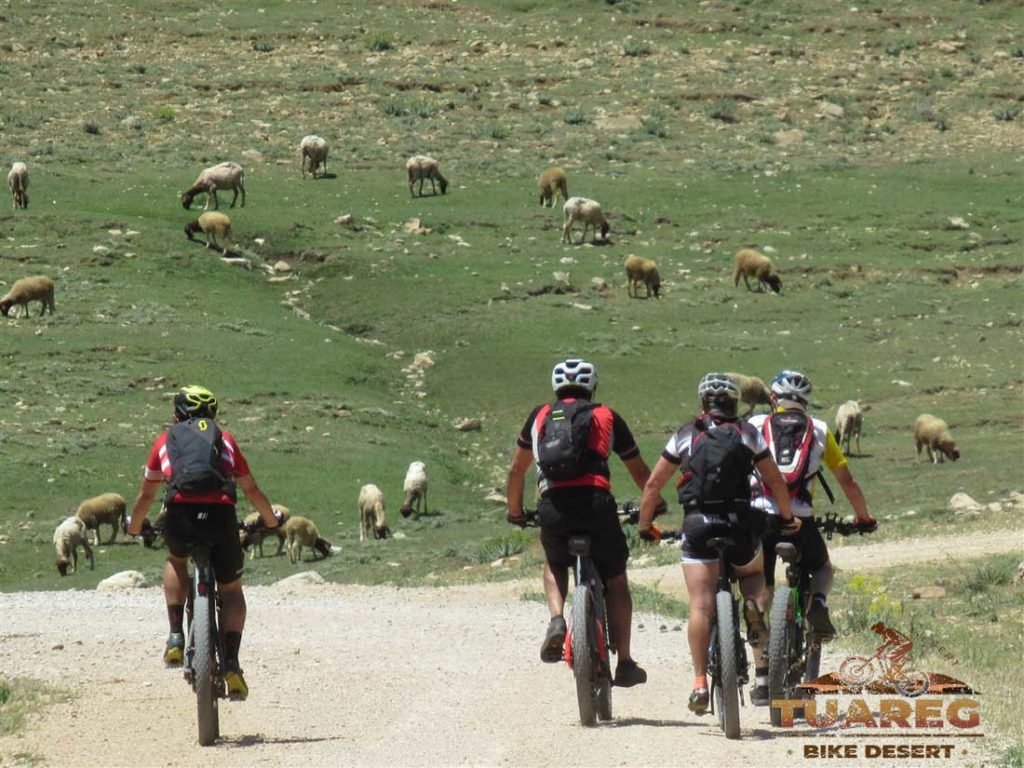 081---Día-24---Bakrit 081---Día-24---Bakrit