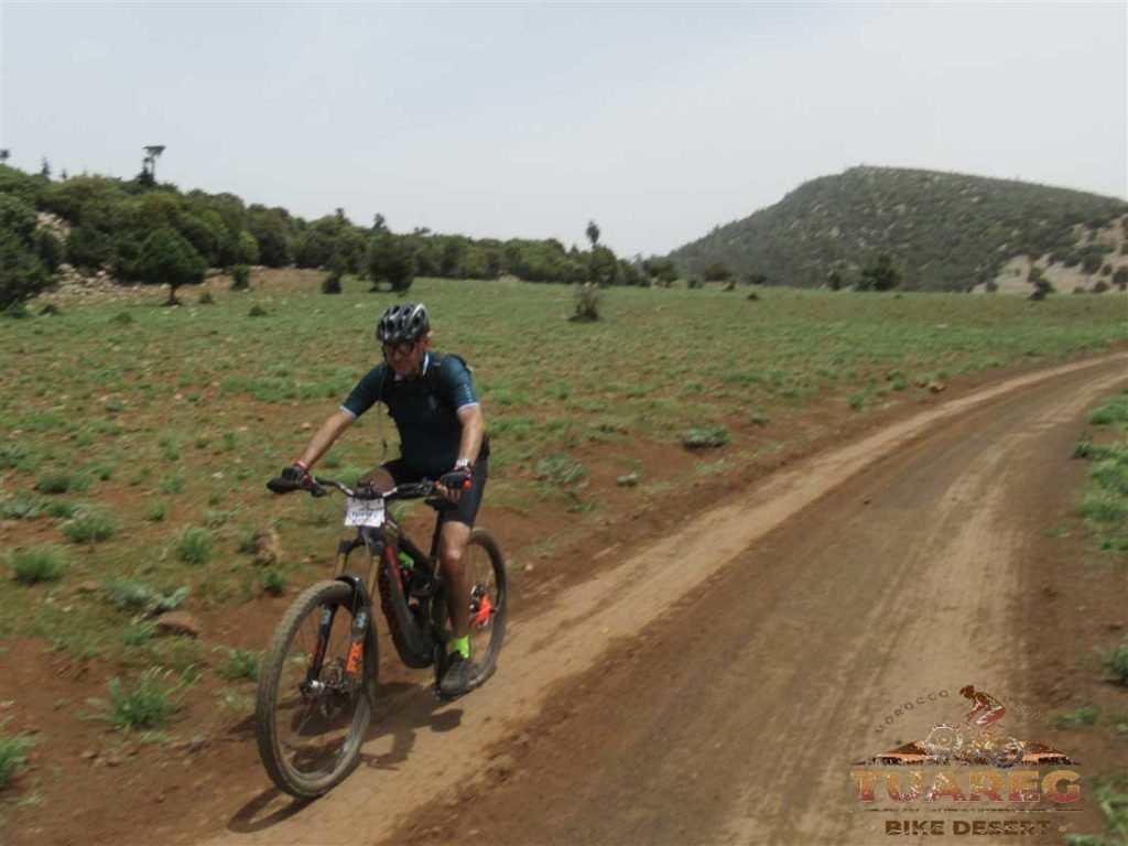 089---Día-22---Bosque-de-los-Cedros 089---Día-22---Bosque-de-los-Cedros