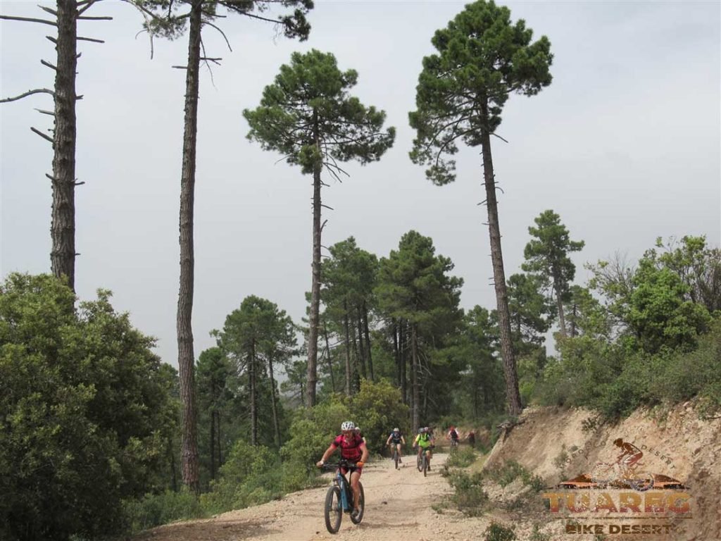 094---Día-21---Dayet-Aaoua,-Ifrane 094---Día-21---Dayet-Aaoua,-Ifrane