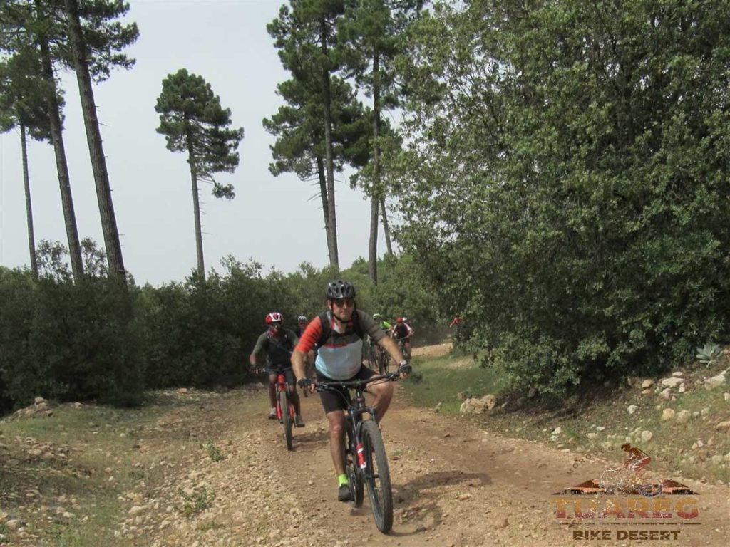 096---Día-21---Dayet-Aaoua,-Ifrane 096---Día-21---Dayet-Aaoua,-Ifrane