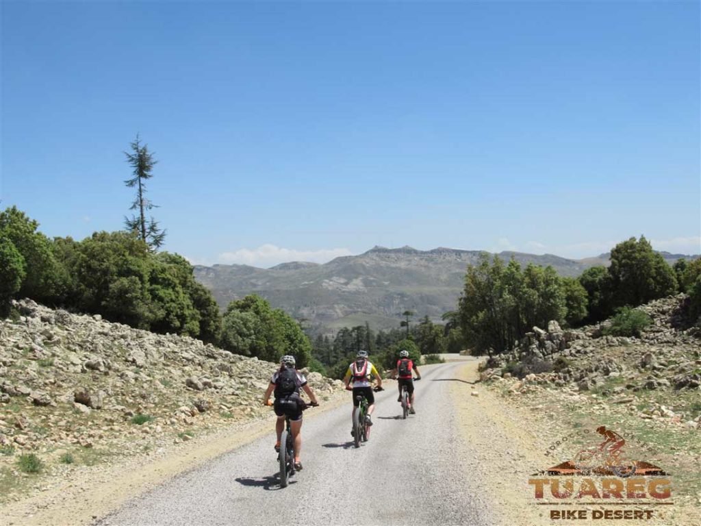 110---Día-24---Bakrit 110---Día-24---Bakrit