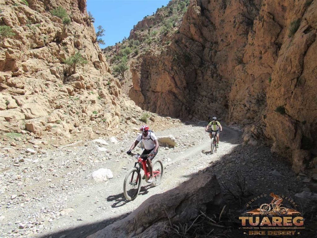 113---Día-25---Circo-de-Jaffar 113---Día-25---Circo-de-Jaffar