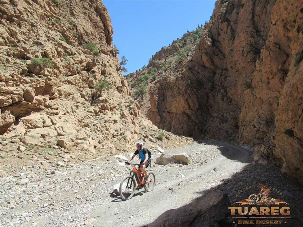 116---Día-25---Circo-de-Jaffar 116---Día-25---Circo-de-Jaffar