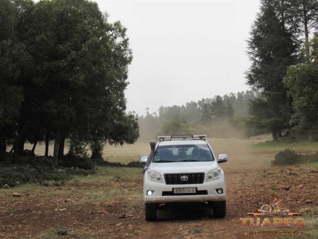 117---Día-21---Dayet-Aaoua,-Ifrane 117---Día-21---Dayet-Aaoua,-Ifrane