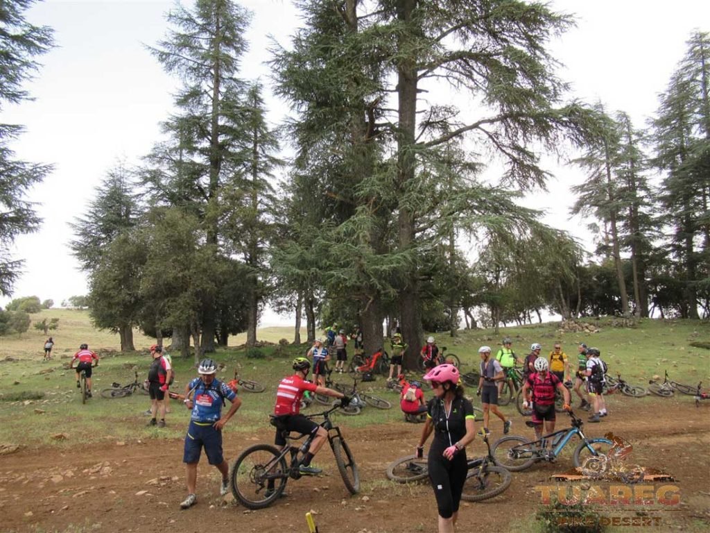 118---Día-21---Dayet-Aaoua,-Ifrane 118---Día-21---Dayet-Aaoua,-Ifrane