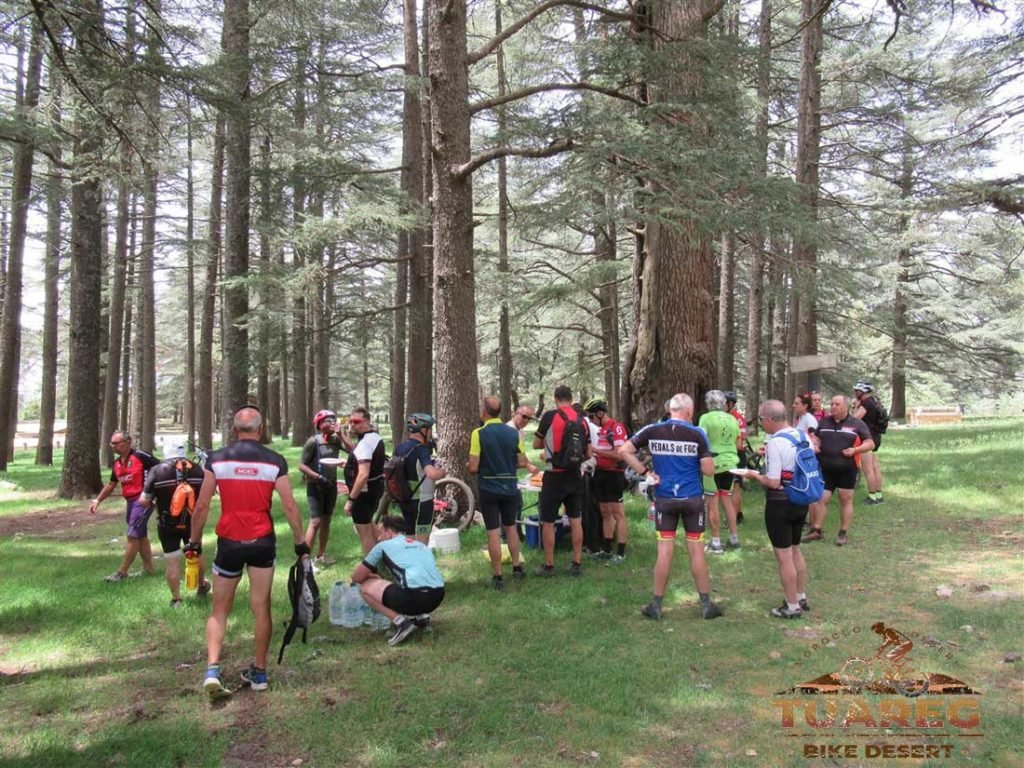 118---Día-22---Bosque-de-los-Cedros 118---Día-22---Bosque-de-los-Cedros