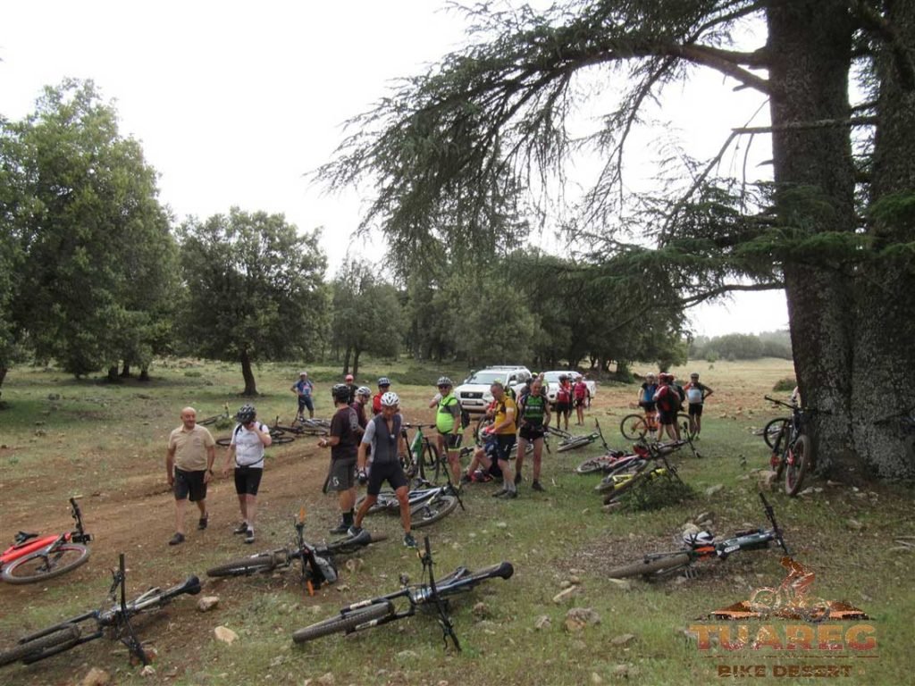 119---Día-21---Dayet-Aaoua,-Ifrane 119---Día-21---Dayet-Aaoua,-Ifrane