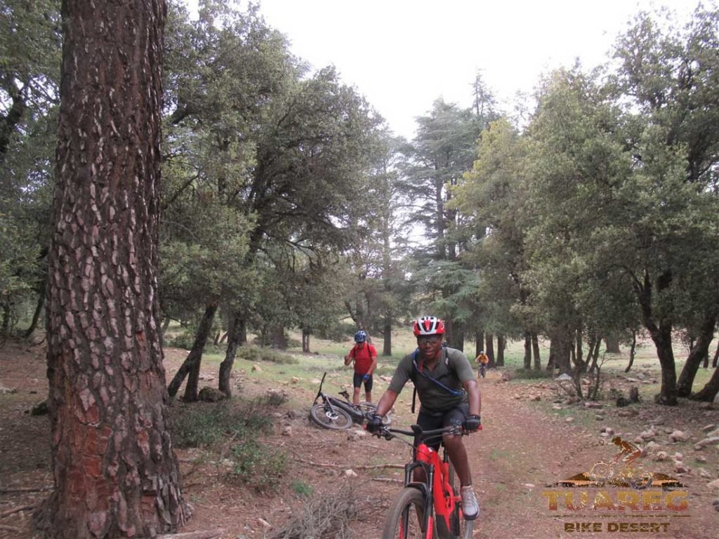 122---Día-21---Dayet-Aaoua,-Ifrane 122---Día-21---Dayet-Aaoua,-Ifrane