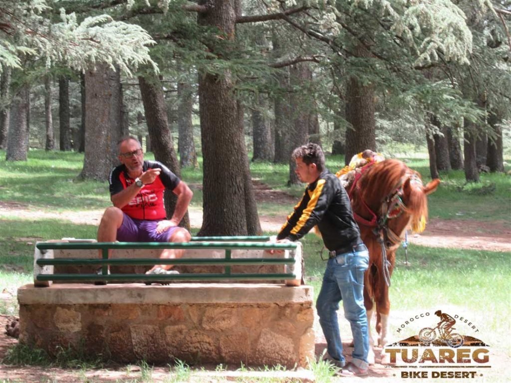 124---Día-22---Bosque-de-los-Cedros 124---Día-22---Bosque-de-los-Cedros