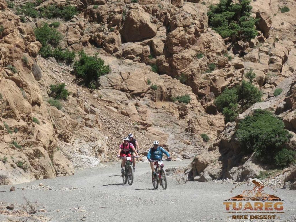 132---Día-25---Circo-de-Jaffar 132---Día-25---Circo-de-Jaffar