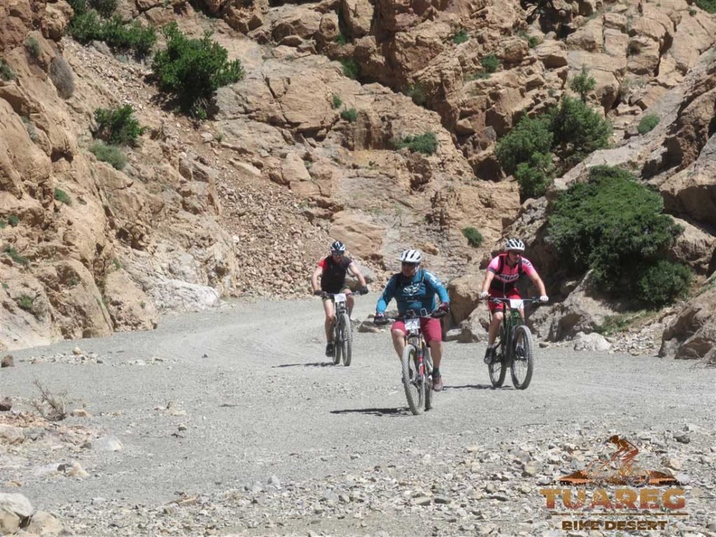 133---Día-25---Circo-de-Jaffar 133---Día-25---Circo-de-Jaffar