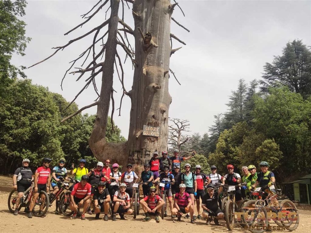 147---Día-22---Bosque-de-los-Cedros 147---Día-22---Bosque-de-los-Cedros