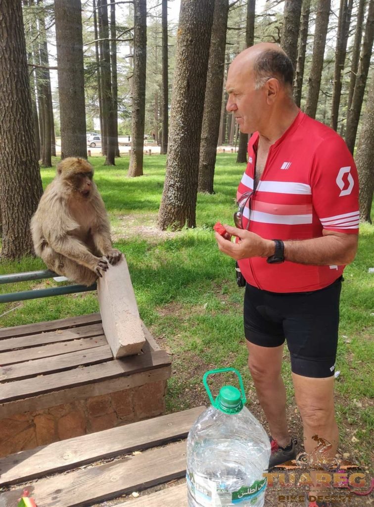 149---Día-22---Bosque-de-los-Cedros 149---Día-22---Bosque-de-los-Cedros
