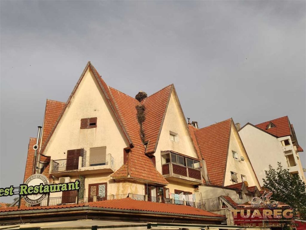 153---Día-22---Bosque-de-los-Cedros