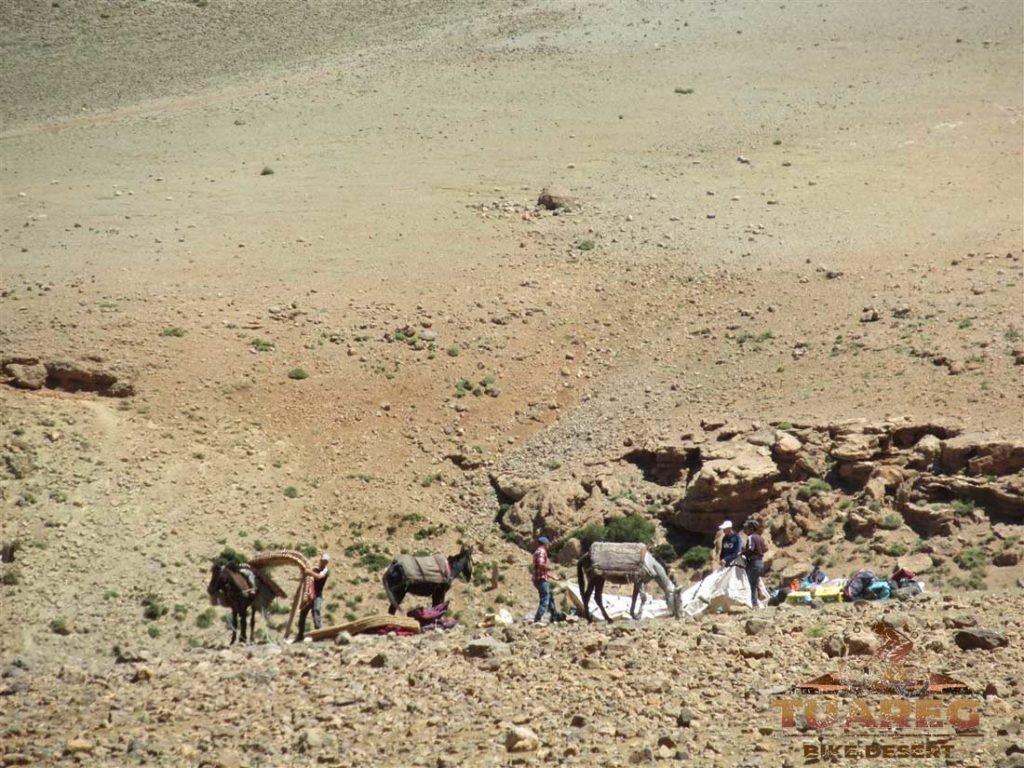 169---Día-25---Circo-de-Jaffar 169---Día-25---Circo-de-Jaffar