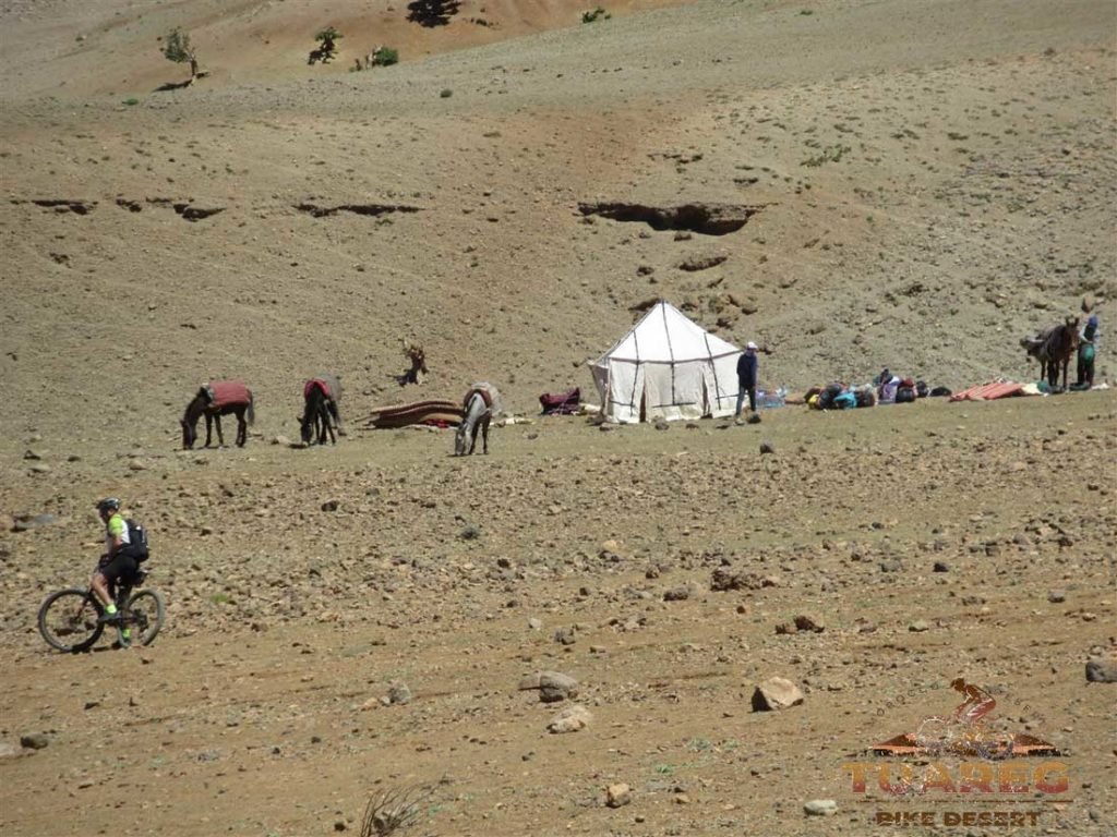 178---Día-25---Circo-de-Jaffar 178---Día-25---Circo-de-Jaffar