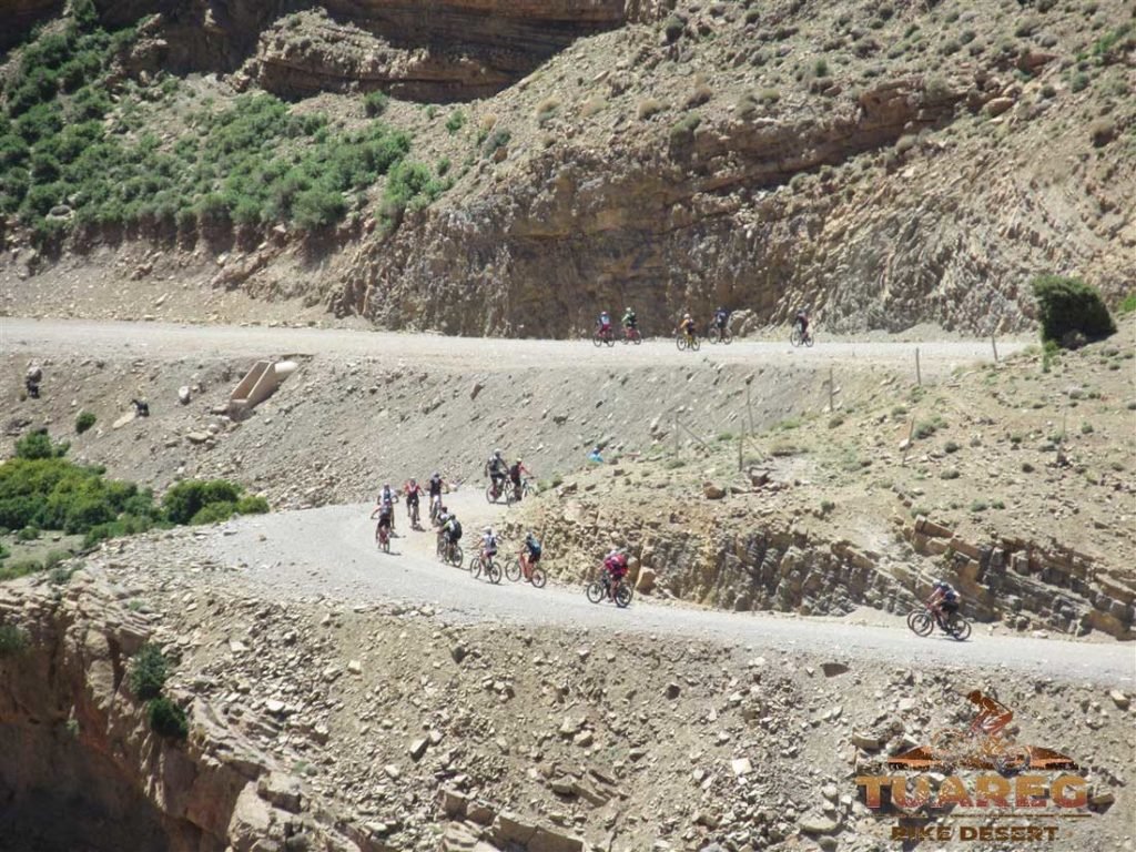 186---Día-25---Circo-de-Jaffar 186---Día-25---Circo-de-Jaffar