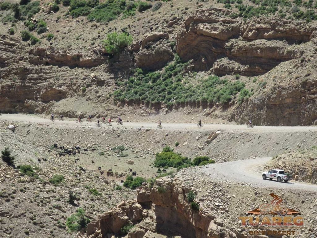 189---Día-25---Circo-de-Jaffar 189---Día-25---Circo-de-Jaffar