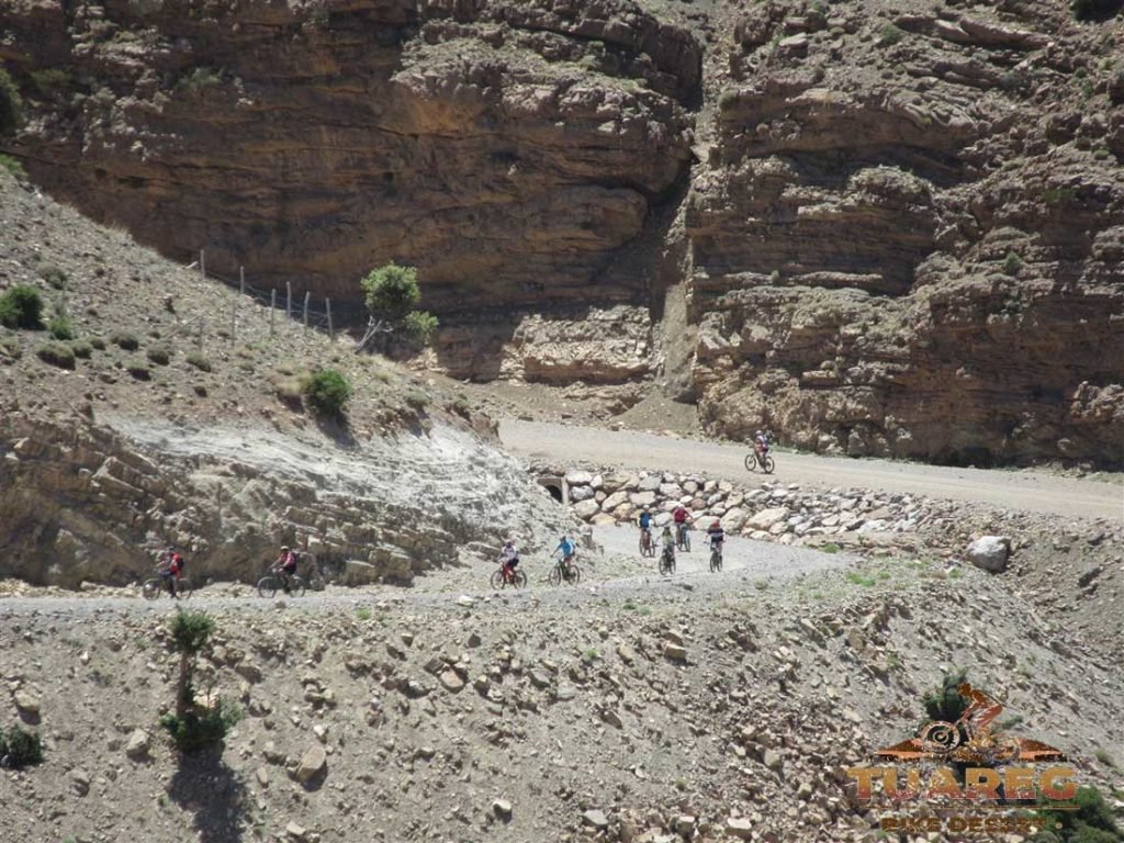 192---Día-25---Circo-de-Jaffar 192---Día-25---Circo-de-Jaffar