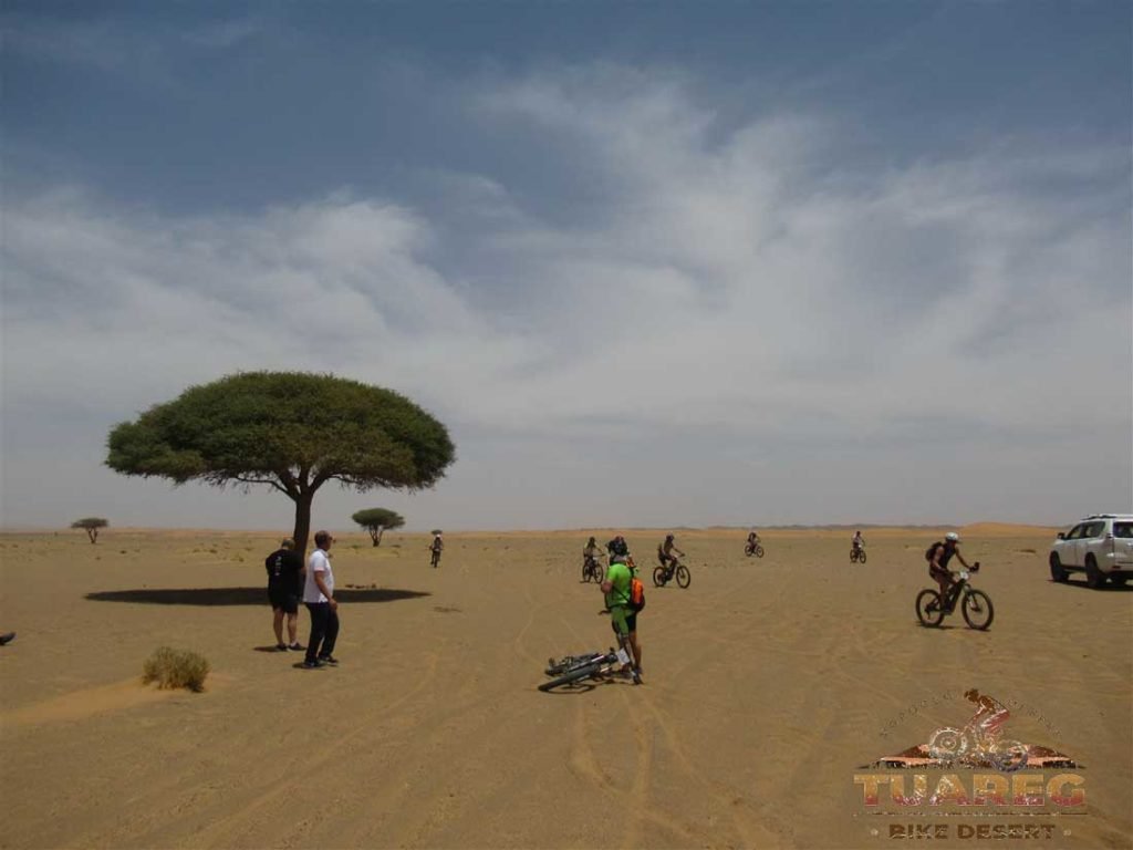 290---Día-26---Campamento-Madu 290---Día-26---Campamento-Madu